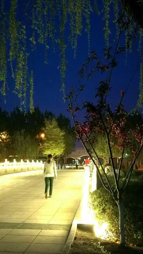 晚上散步随手拍