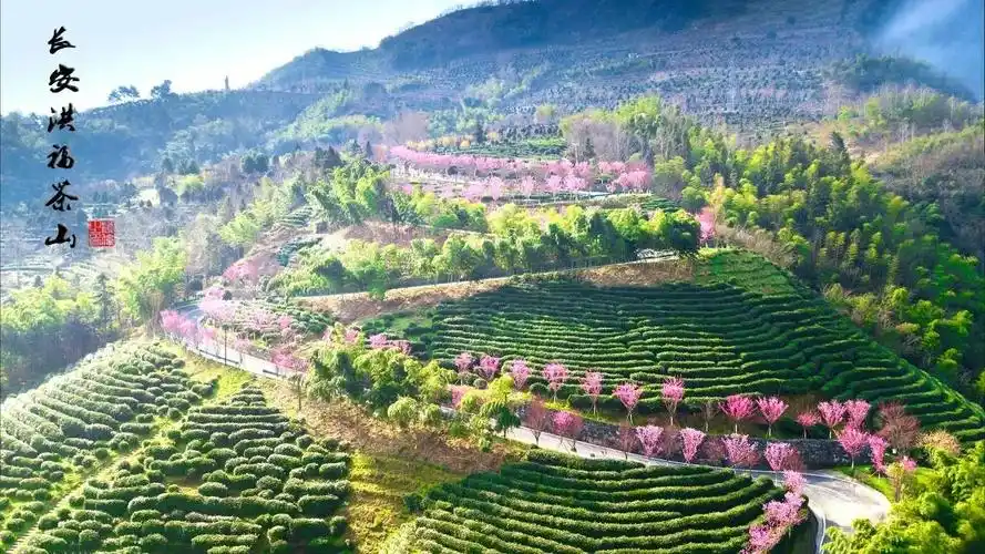 全国"绿水青山就是金山银山"实践创新基地:陕西省平利县