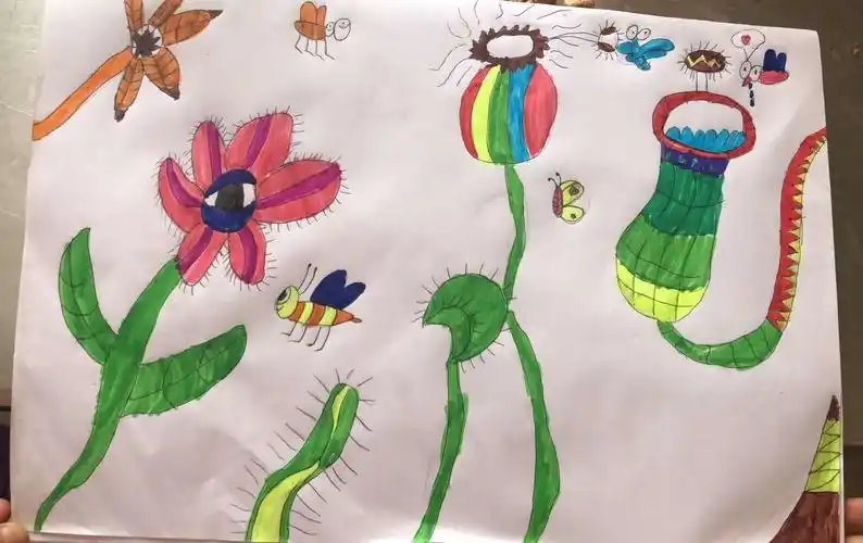 同学们学习了《吃虫草》一课,下面就让我们一起来欣赏小画家们的作品