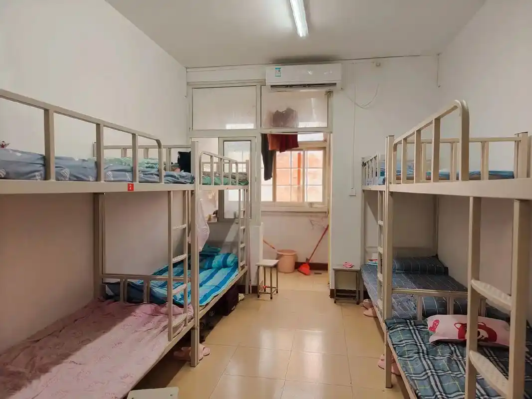 新的学校,新的环境,新的老师,新的同学,新的开始,步入初一的少年