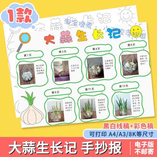 大蒜生长记手抄报电子版小学生观察记录植物蔬菜生长记录日记模板