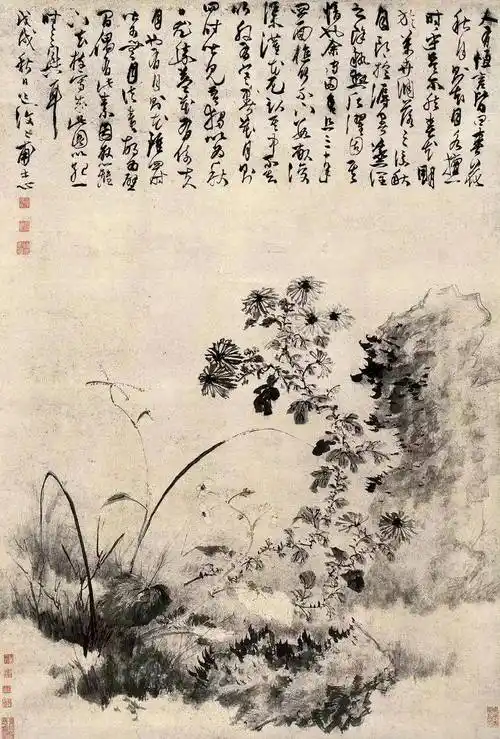 鉴赏|陈淳花鸟画:隽雅出尘