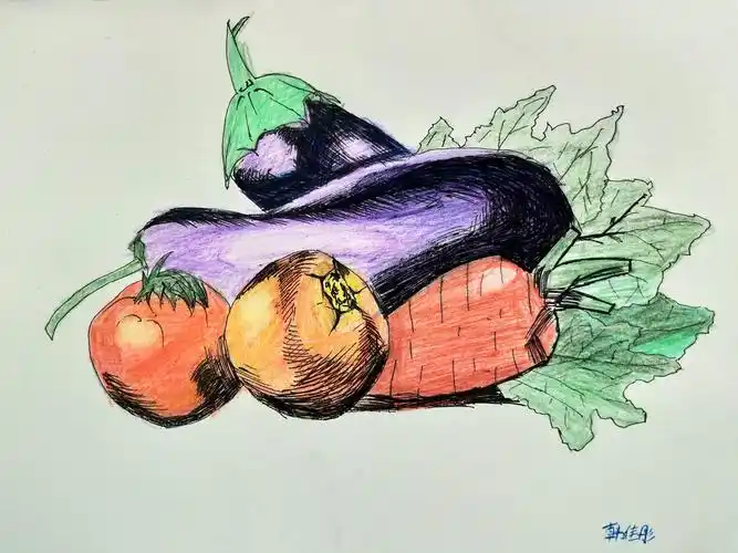 《静物写生——蔬果》0906学院素描班日上