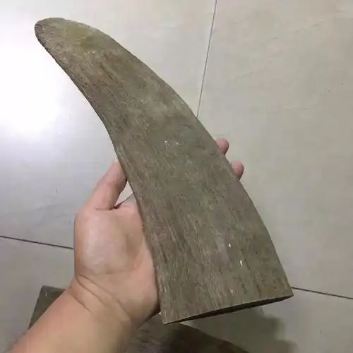 2019年文玩界新星披毛犀牛角到底什么来头