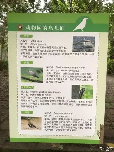 北京动物园里的观鸟介绍