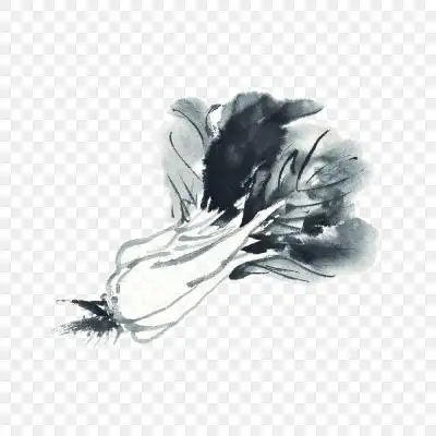 水墨白菜