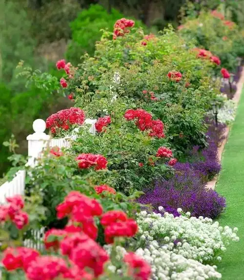推荐10款花境设计案例为自己打造一个小花园附植物