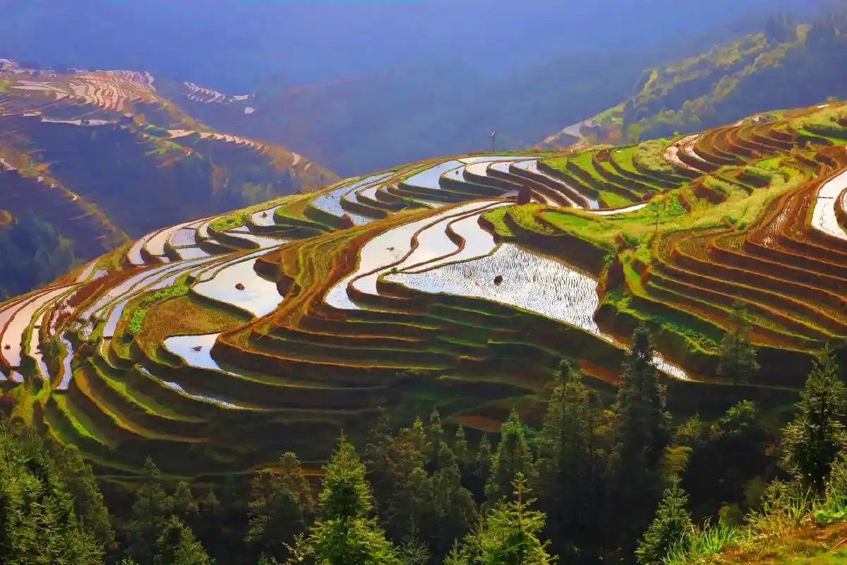 贵州从江加榜梯田国家温地公园位于贵州省黔东南苗族侗族自治州从 -