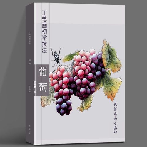 正版 国画写意葡萄入门教程书籍葡萄画法步骤详解 天津杨柳青画社