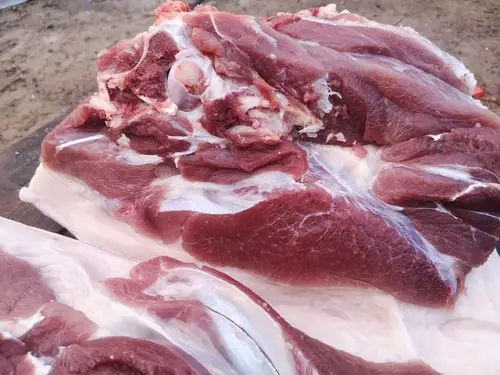 乌蒙乌金猪--可乐黄毛系