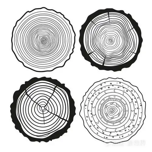 树的年轮.组的截面