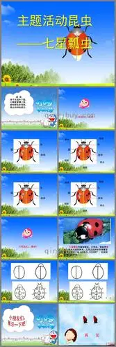 大班科学主题活动七星瓢虫ppt课件