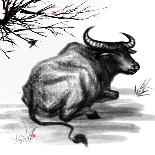 杏林之声牛年牛药知多少