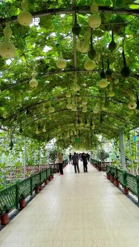 现代农业生态园