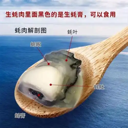 新鲜活去壳生蚝肉火锅烧烤即食福建水产肥大牡蛎生吃海蛎海鲜 四盒