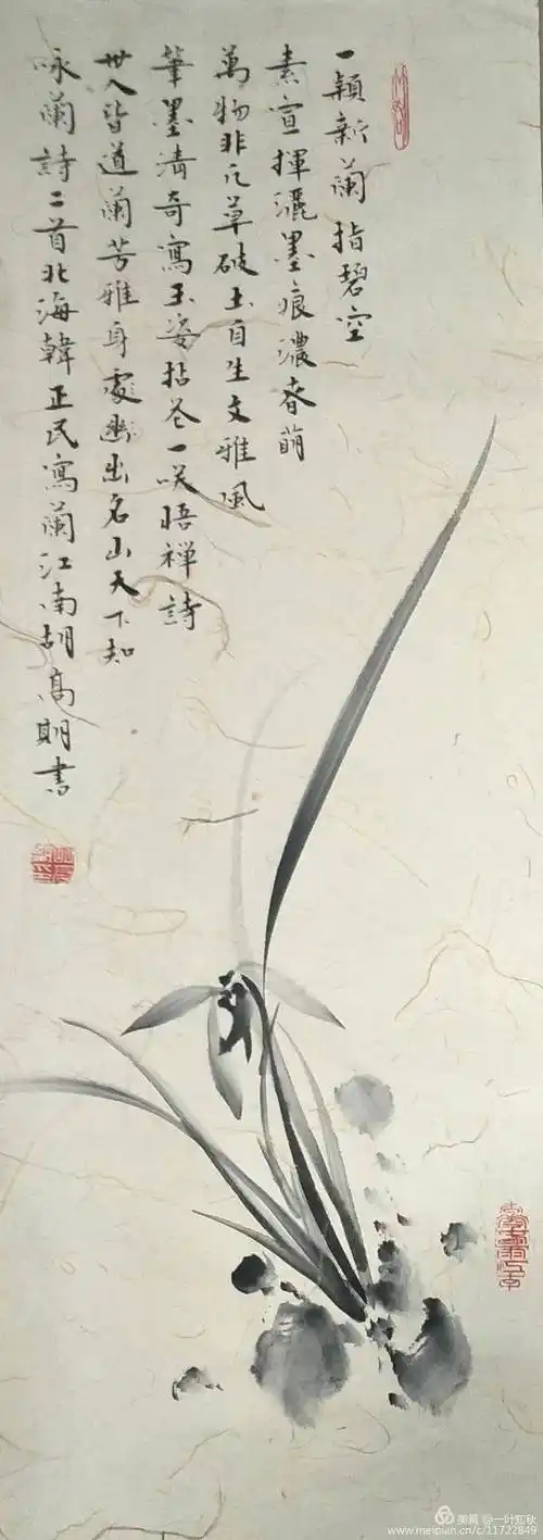 青年俊才画兰名家幽兰居士韩正_兰花者