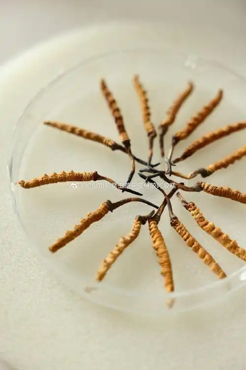 冬虫夏草25克圆盒装