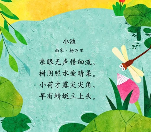 我爱古诗词:《小池》杨万里(大宝)