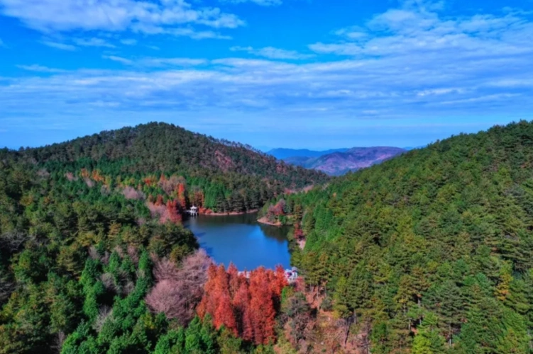宁波夏日乡村美食 清凉,象山黄避岙这一款你钟意吗?