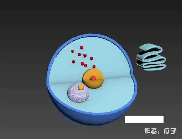 如何用3ds max构建细胞核模型