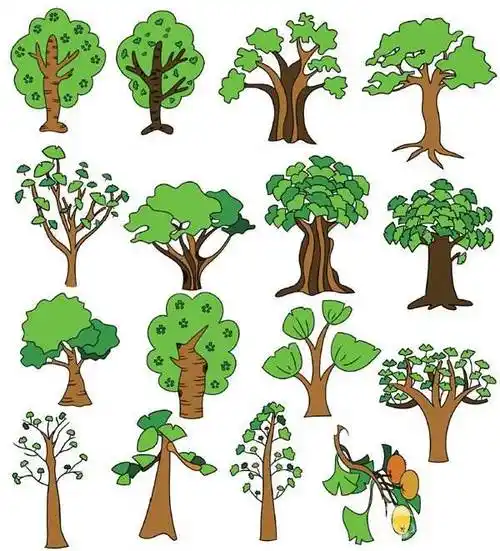 银杏树简笔画 银杏树简笔画步骤