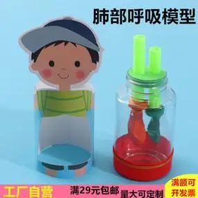 双秋办公旗舰店天猫人体呼吸运动模型 人体呼吸系统模型 膈肌运动