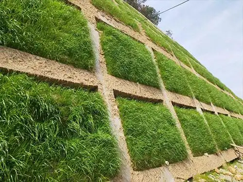 绿化工程施工-河北泽超边坡防护工程有限公司