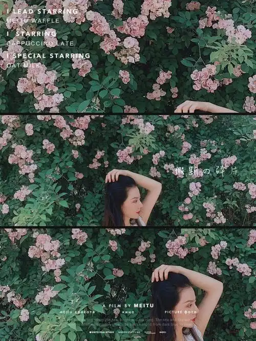 首先找一片苹果花花墙,然后咔擦咔擦开拍,接着选好