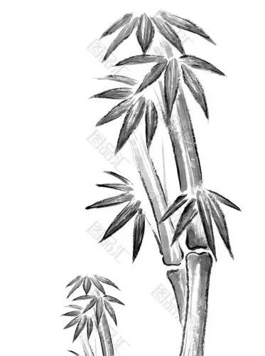 手绘素材速写竹子