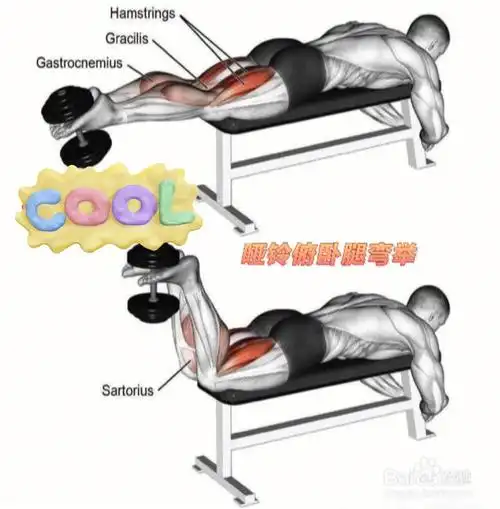 力量训练  #哑铃训练哑铃的八种正确使用方法图解哑铃俯卧腿弯举锻炼