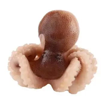 大连新鲜八爪鱼海鲜鲜活冷冻小章鱼迷你八爪鱼即食麻辣长腿章鱼足