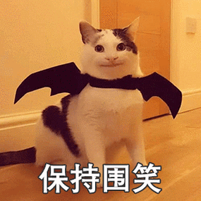 wireshark可以抓模拟器包吗_沙雕猫表情包:我可以撩你吗?