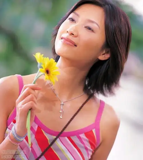 徐静蕾写真图片-自制800x480壁纸.高清大图-明星写真馆n63.com