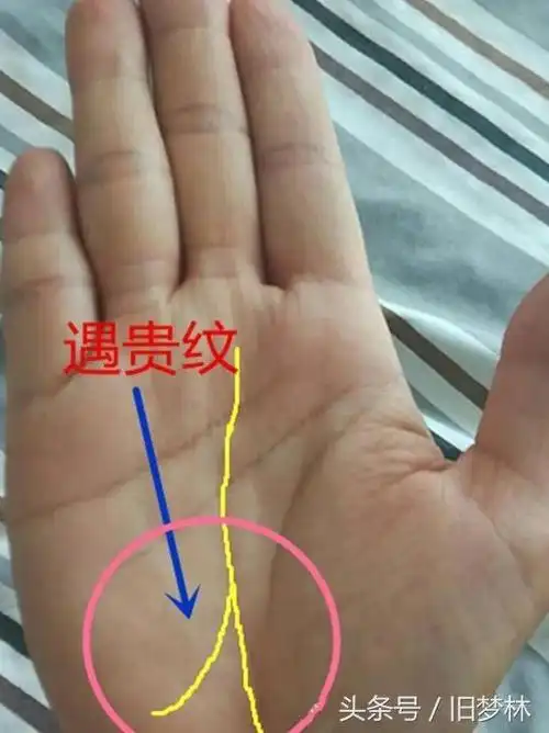 手中河桥元宝皆有,一生应有尽有,富贵自天来