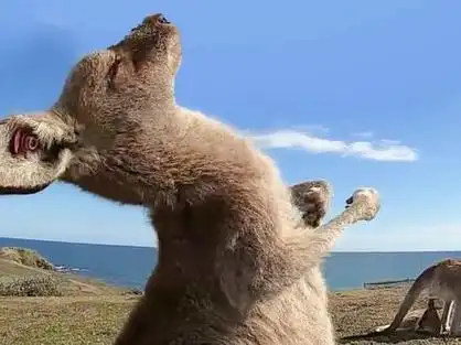 蛋仔舞蹈甩手舞表情包_一个小人疯狂甩手的表情包_甩手表情包gif - 抖