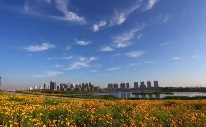 房企的北征之路|井喷式发展的沈北新区,或成沈阳下一个经济中心