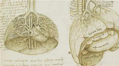有了这几百张尸体解剖手稿达芬奇才能画出蒙娜丽莎的神秘微笑