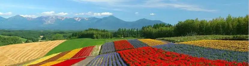 澳洲茶树精油抑螨净肤水