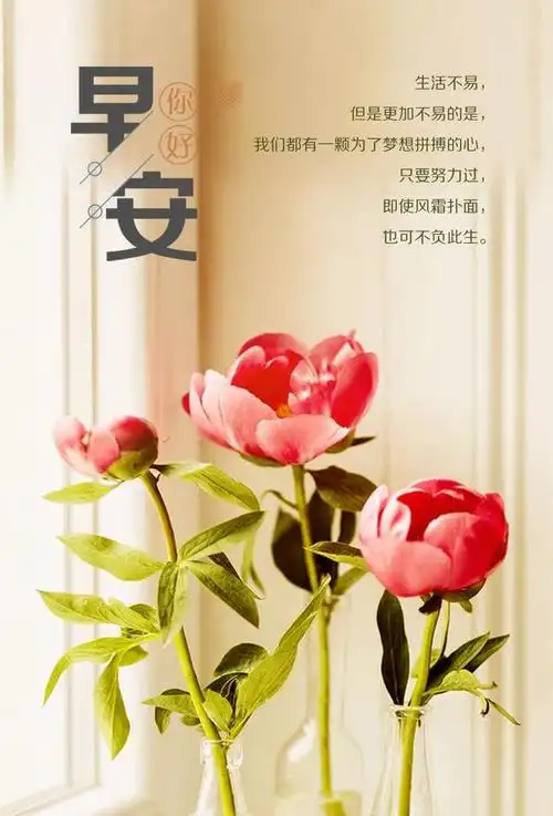 早安激励努力的句子,激励自己向上的早安心语,句句受用!