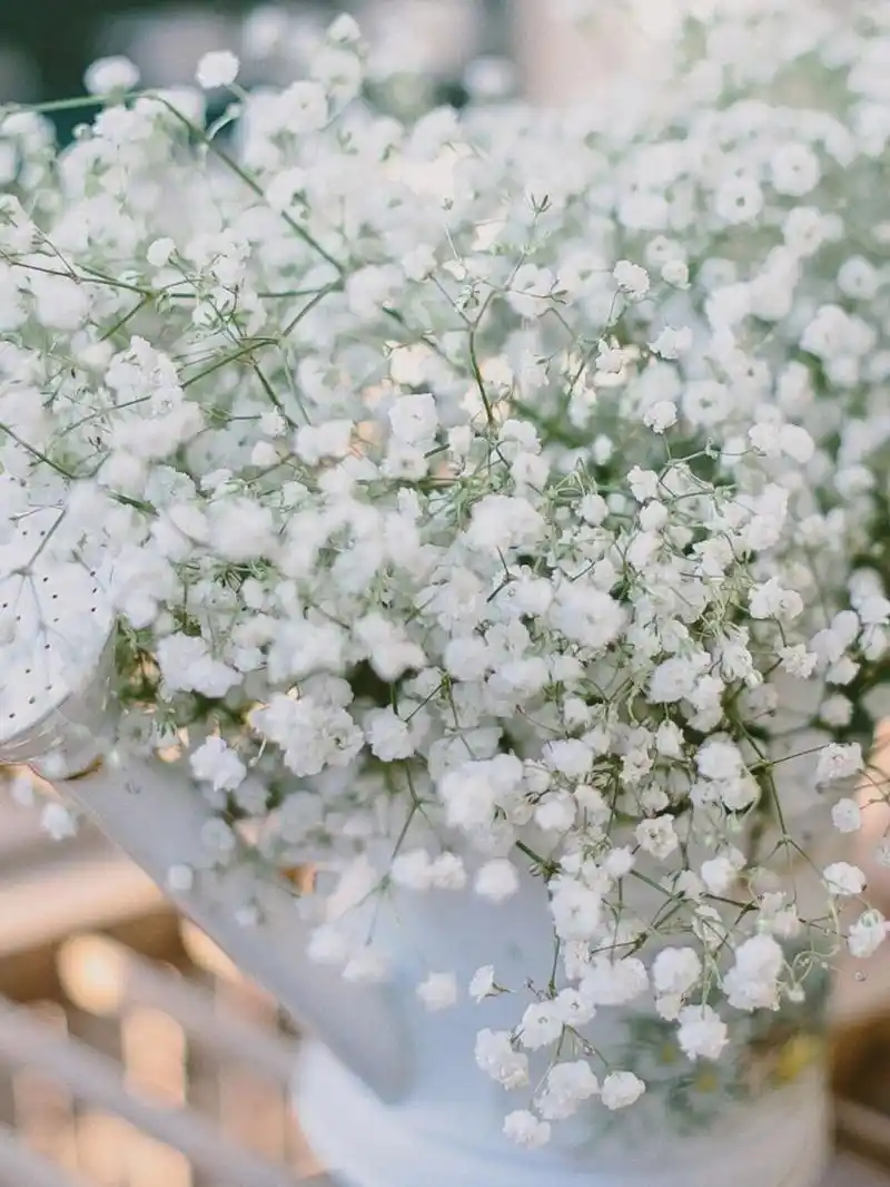 唯美de满天星图片