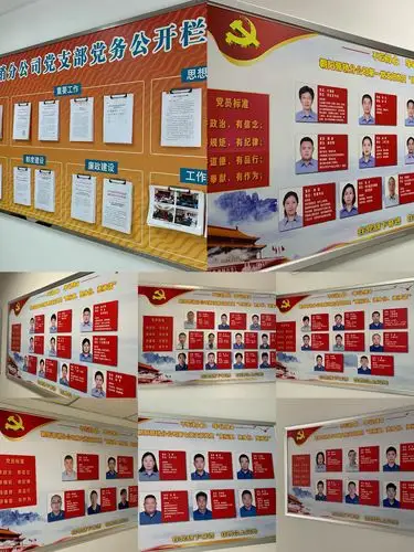 分公司党员亮身份 表承诺