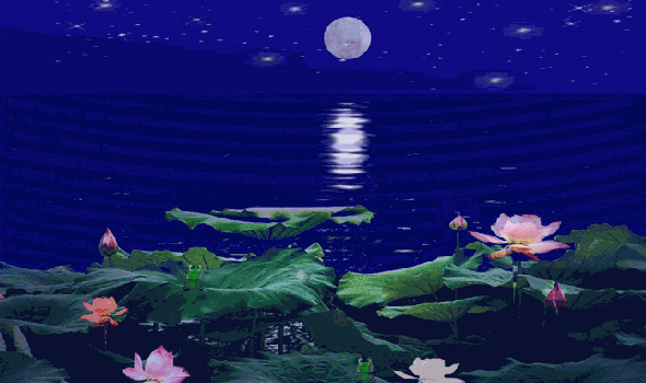 590_350gif 动态图 动图