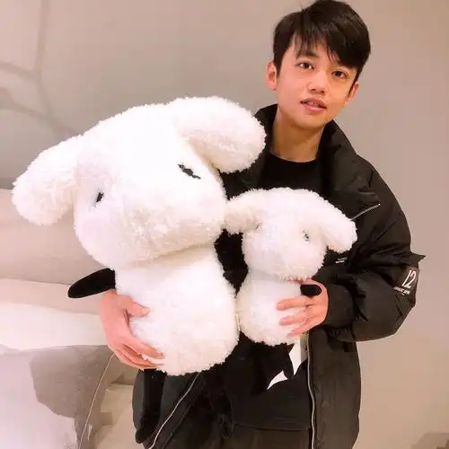 易烊千玺同款抱枕一只羊手绘风易只羊偶像毛绒玩偶公仔礼物35厘米