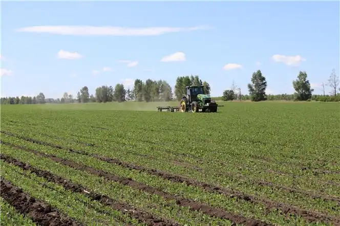 大西江农场有限公司:开展大豆二遍中耕_黑龙江农垦九三管理局_农垦