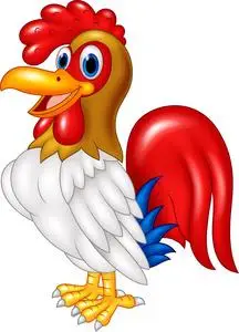 白色背景上孤立卡通公鸡放弃竖起大拇指可爱的公鸡卡通招手卡通鸡公鸡