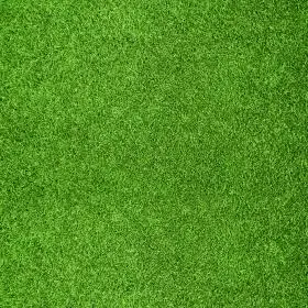 绿色草地高清图片