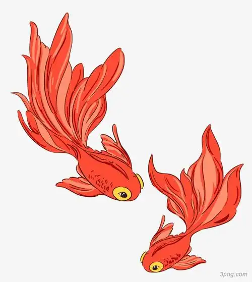 手绘金鱼装饰png素材透明免抠图片-节日元素