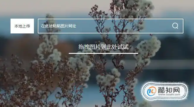 如何使用百度识图功能识别图片优质