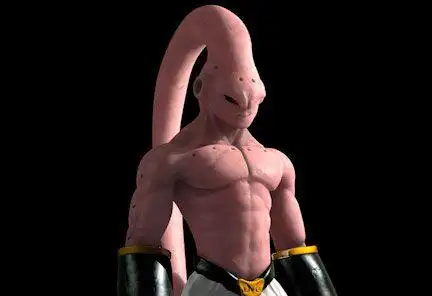 the time evolution of