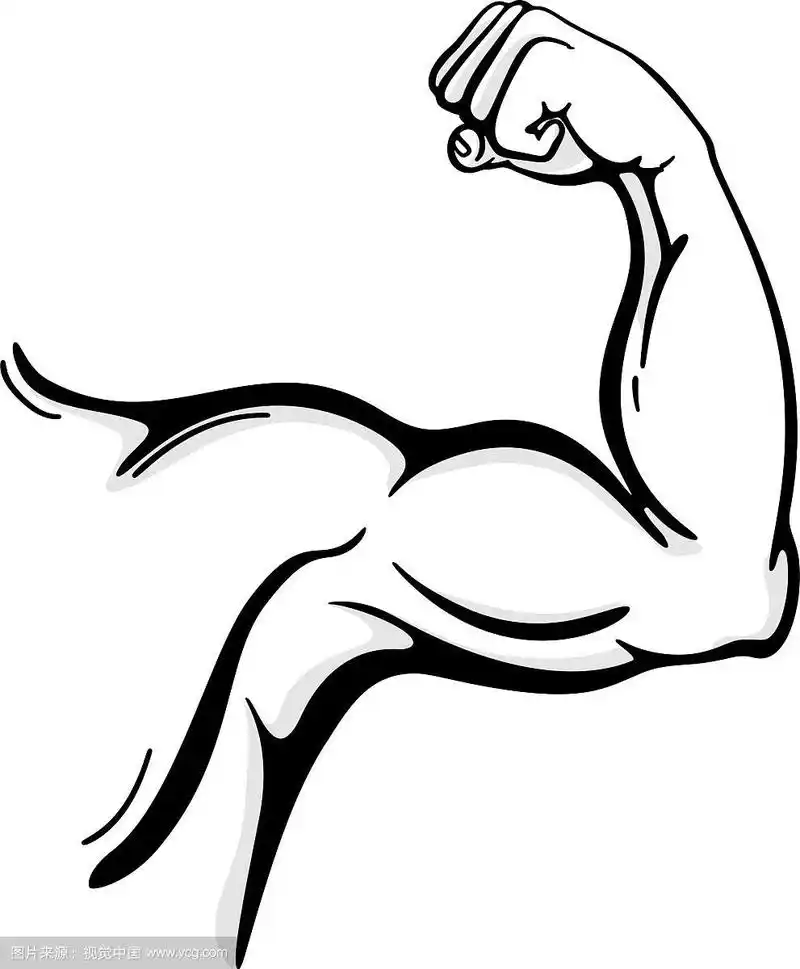 肌肉手臂线条艺术